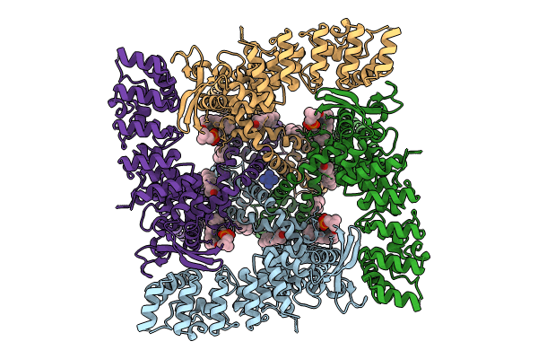 8FFN image