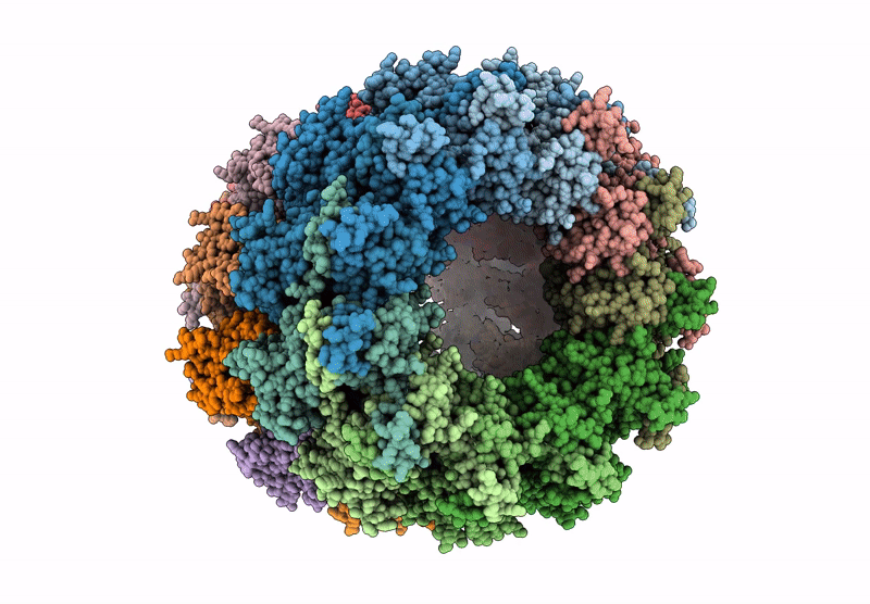 8FFR image