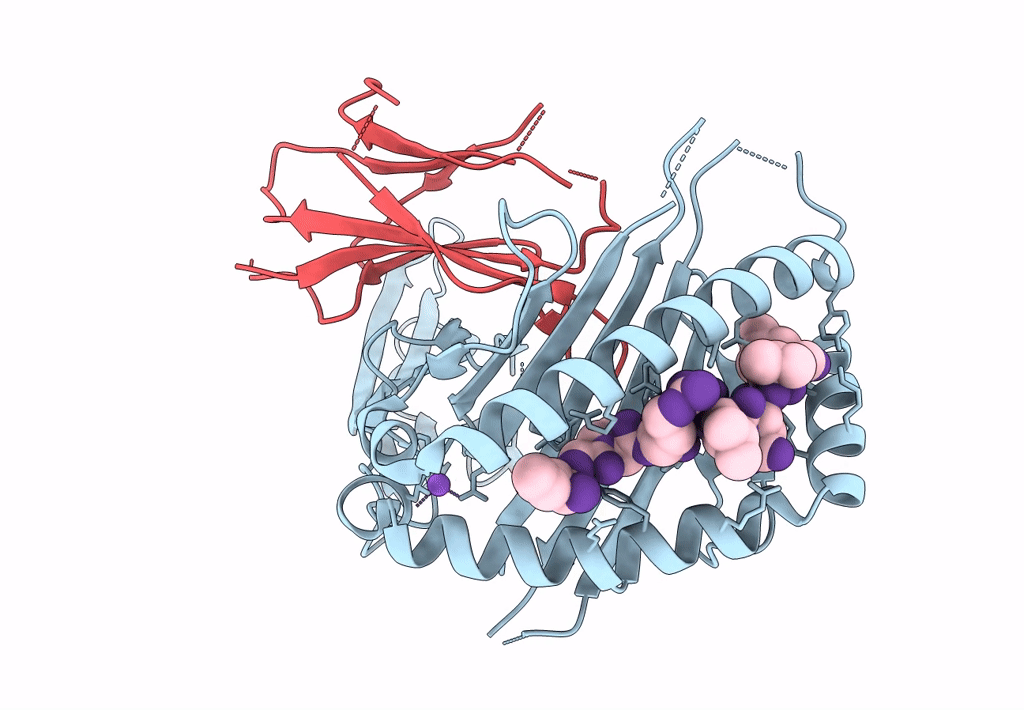 8FHL image