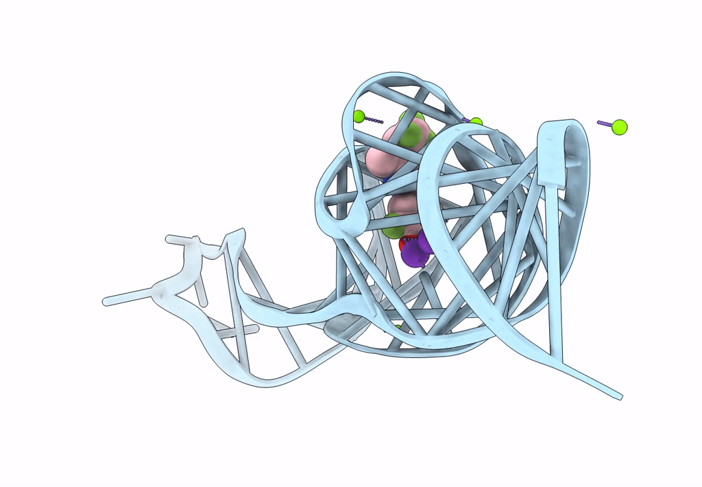 8FHX image