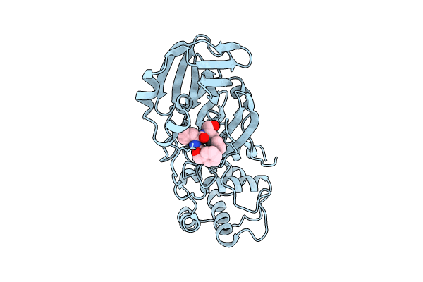 8FIG image