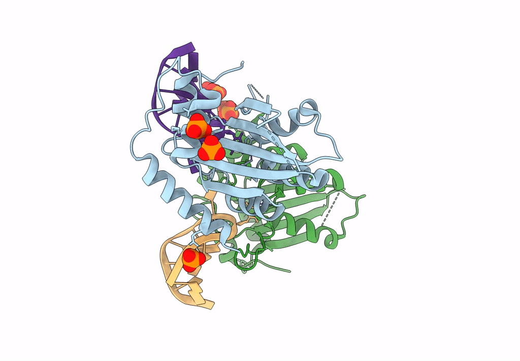 8FII image