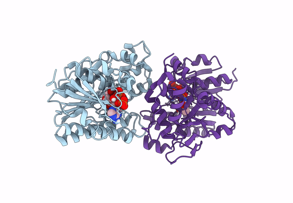 8FIP image