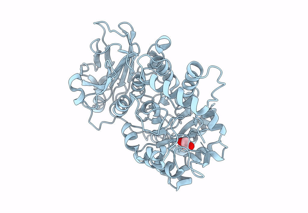 8FKL image