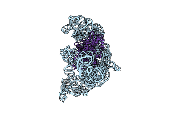 8FLI image