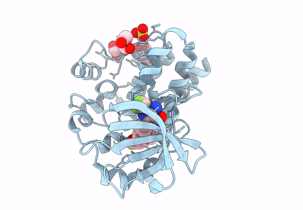 8FLN image