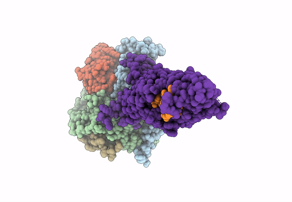 8FLU image