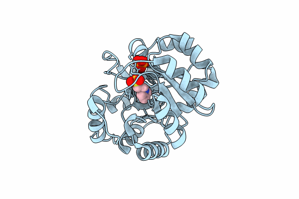 8FMC image