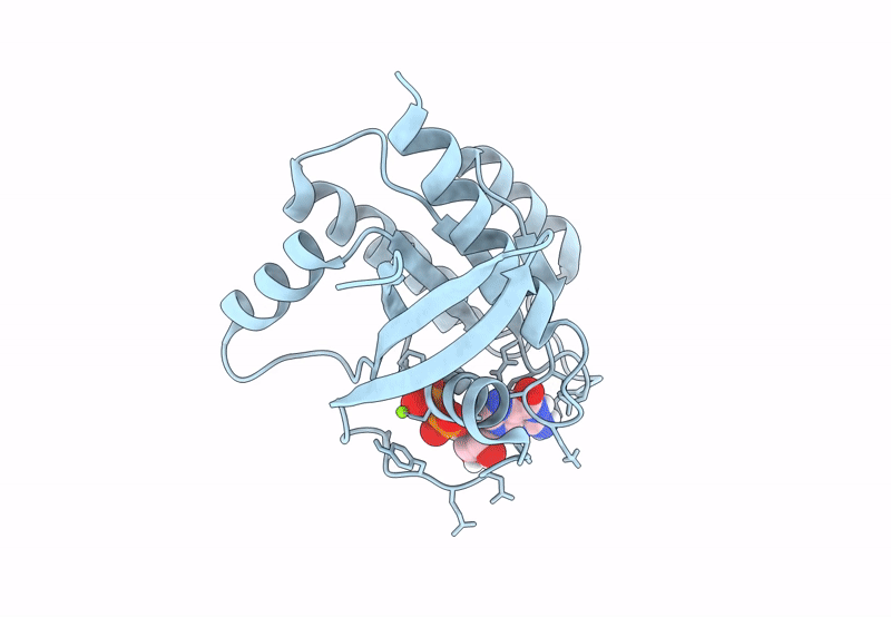 8FMI image