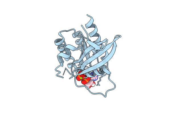 8FMK image