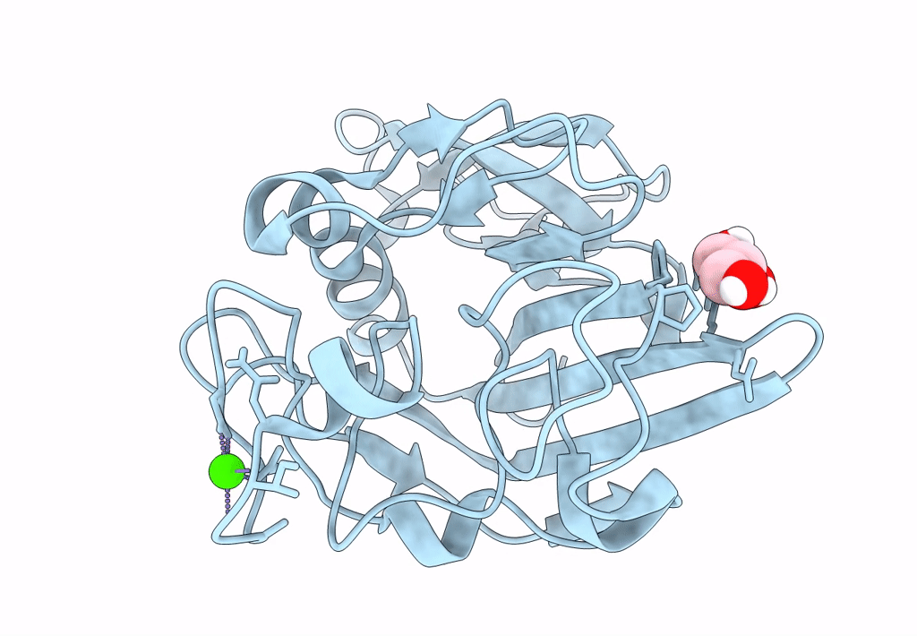 8FNA image