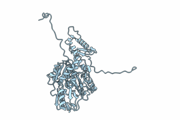 8FOY image
