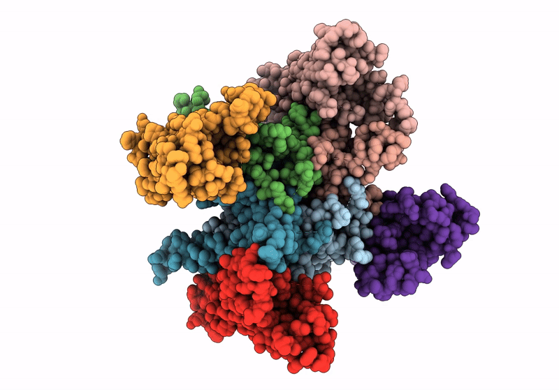 8FP9 image