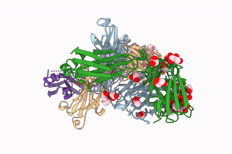 8FPA image