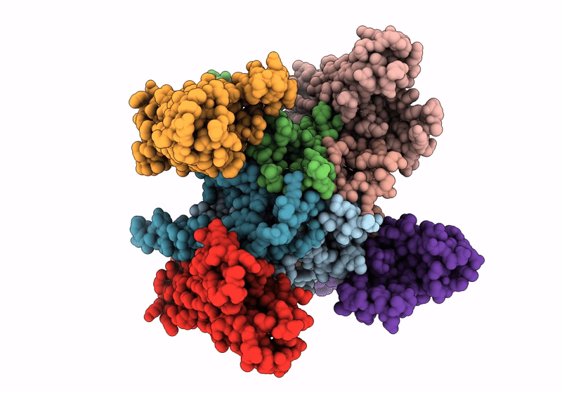 8FPG image