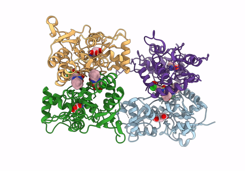 8FPH image