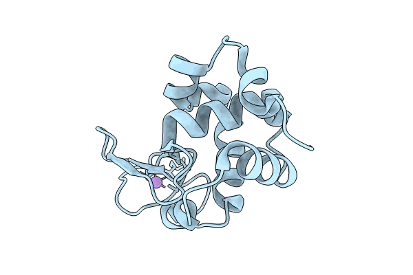 8FPM image