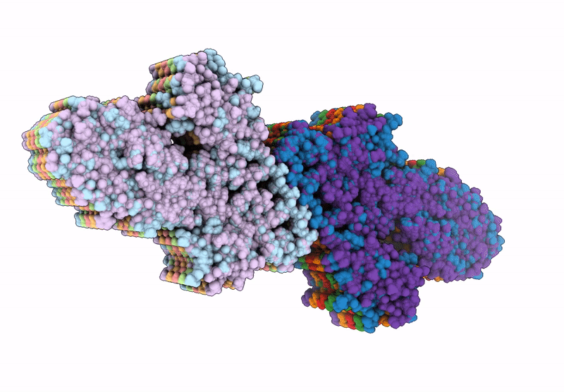 8FPT image