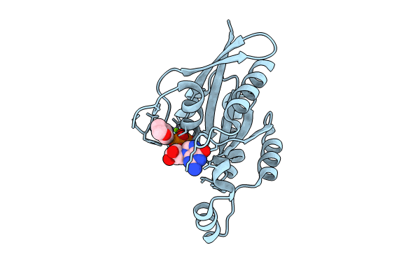 8FPX image
