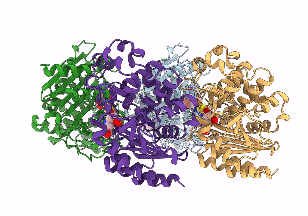 8FQM image