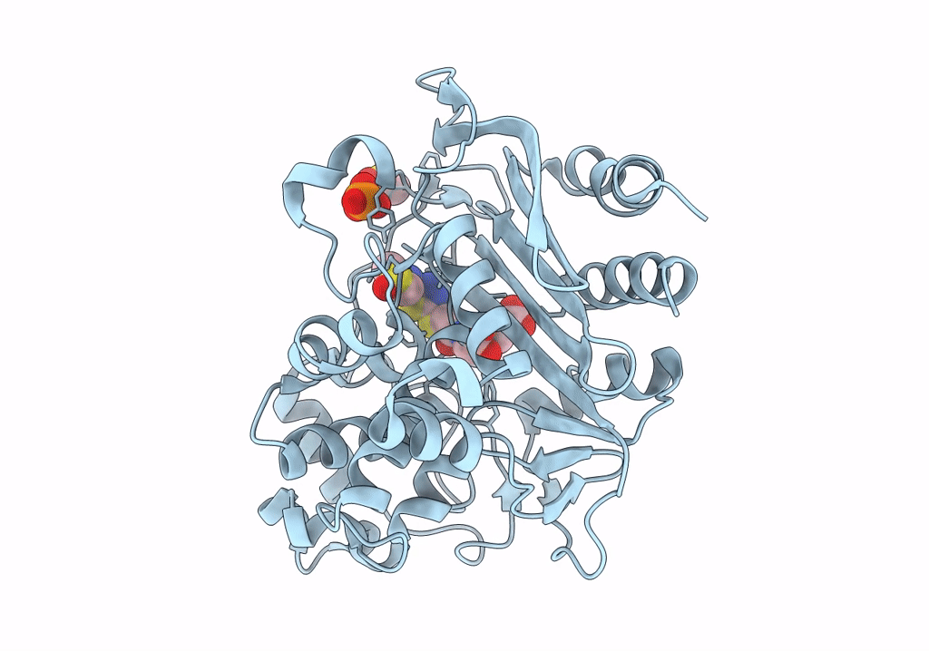 8FQS image