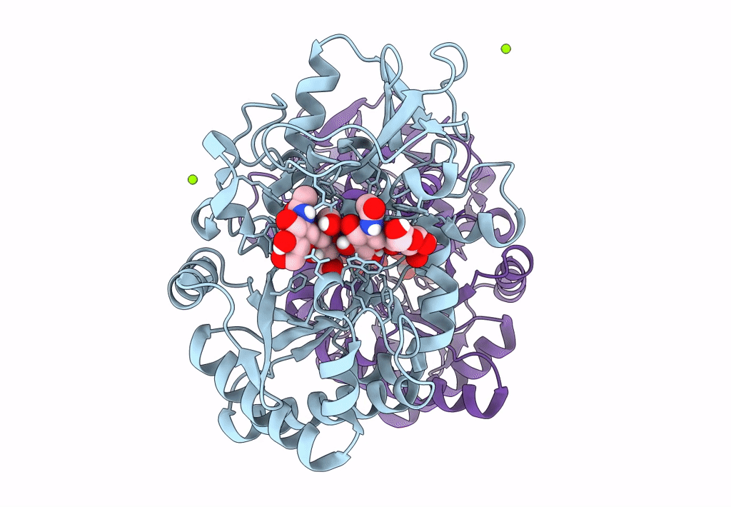 8FRG image