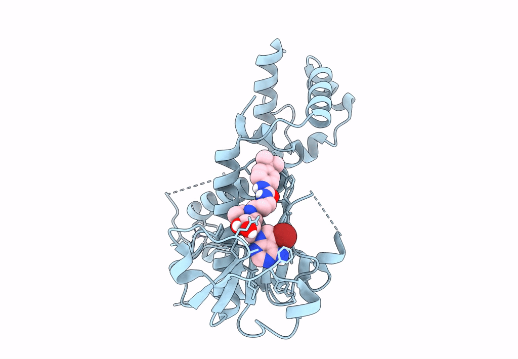 8FRJ image
