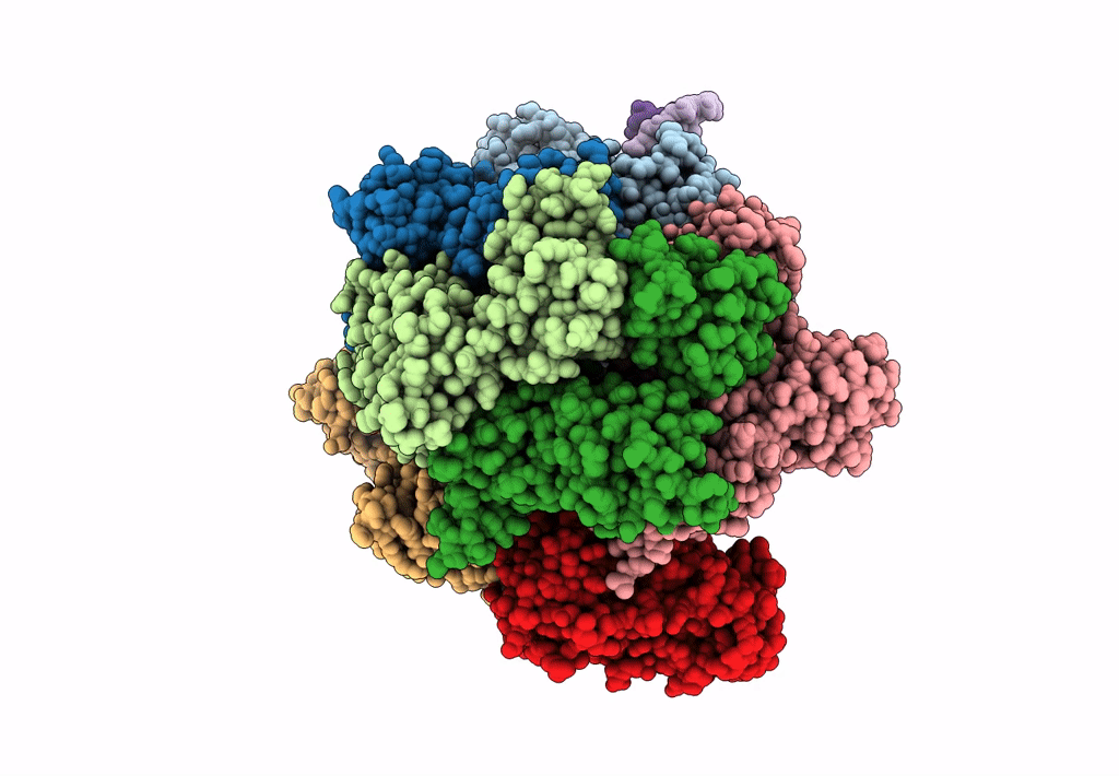 8FS3 image
