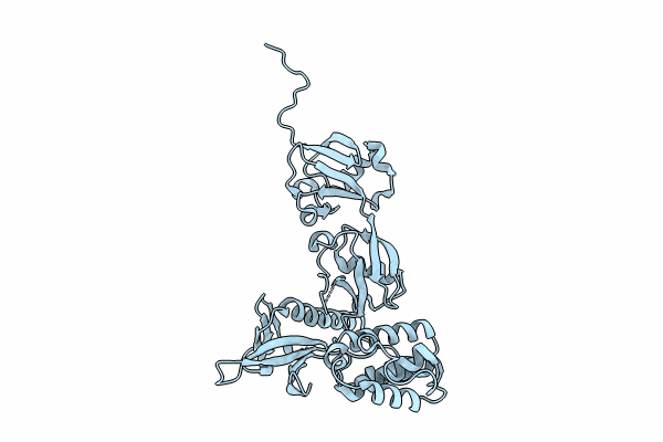 8FSO image