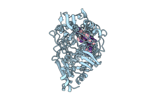 8FSR image