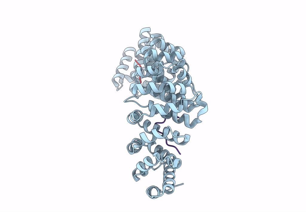 8FUA image