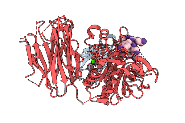 8FVP image