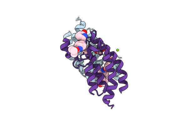 8FVS image