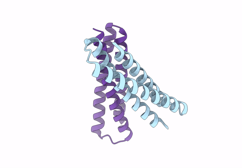 8FVT image