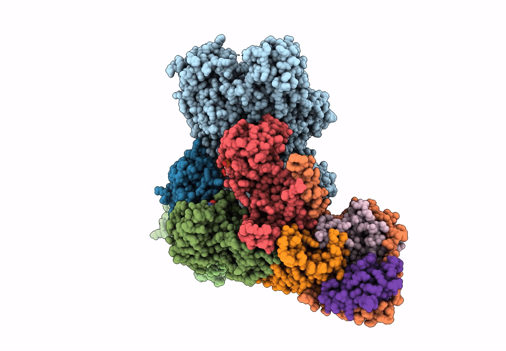 8FW5 image