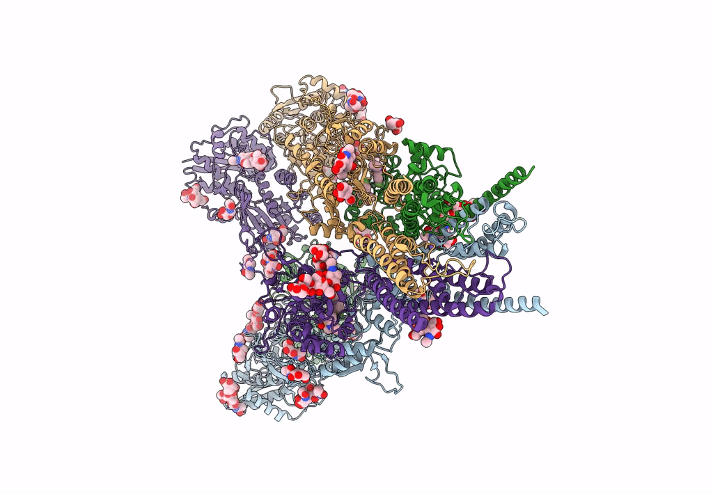 8FWQ image