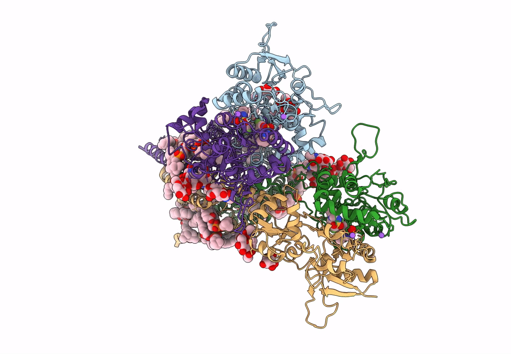 8FWS image