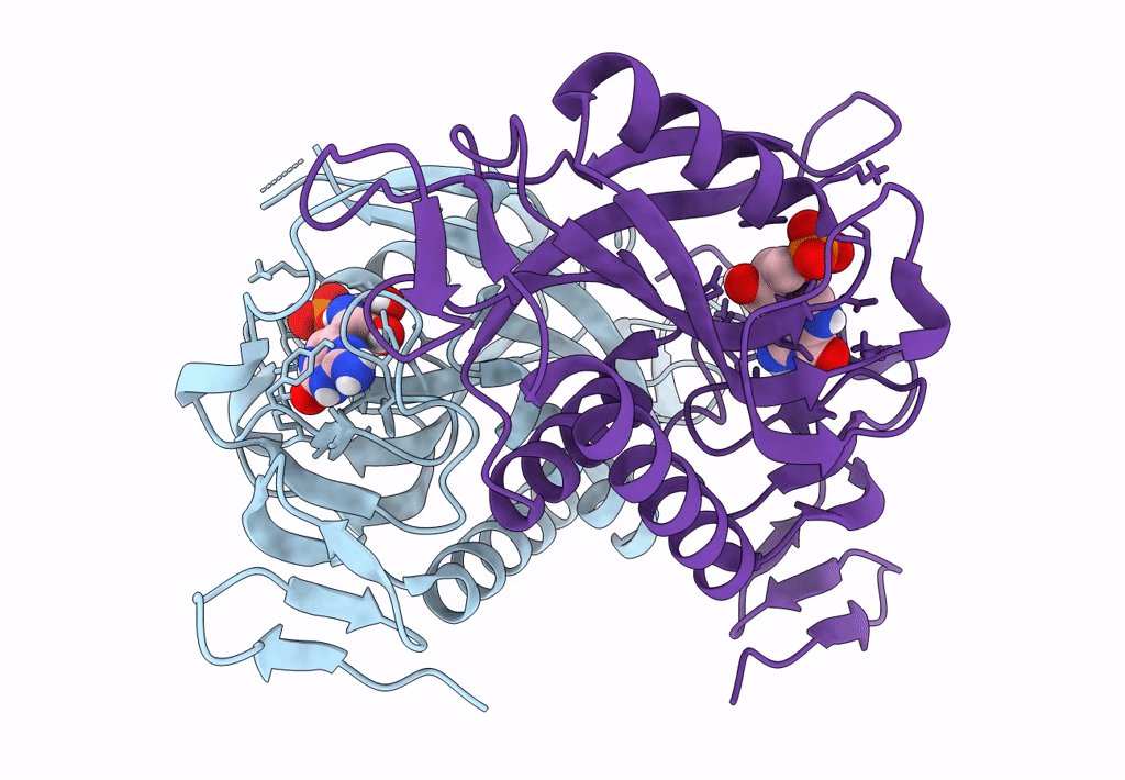 8FX3 image