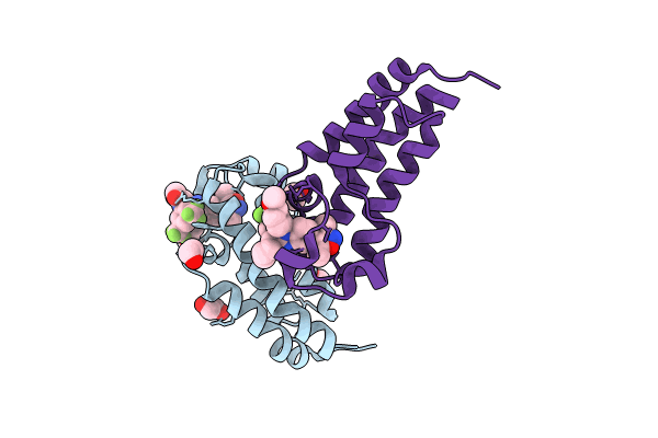 8FXA image