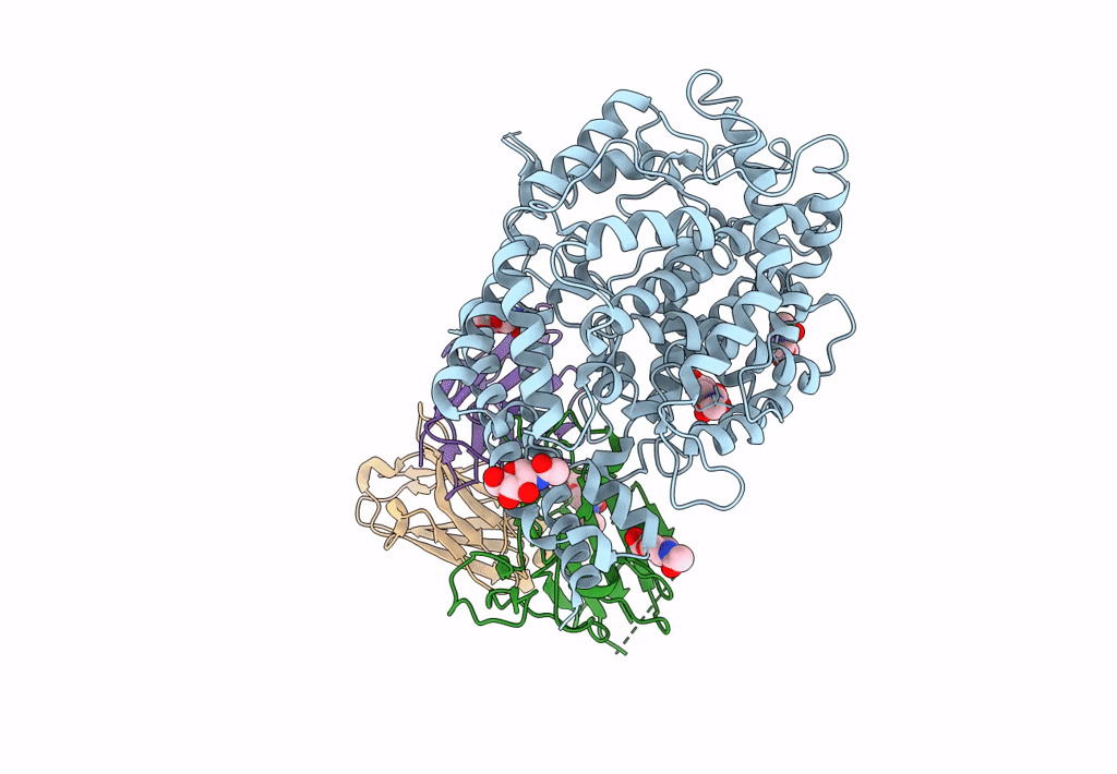 8FXB image