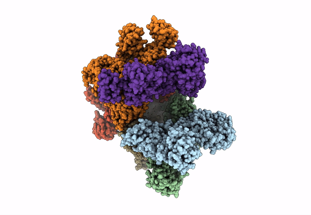 8FXH image