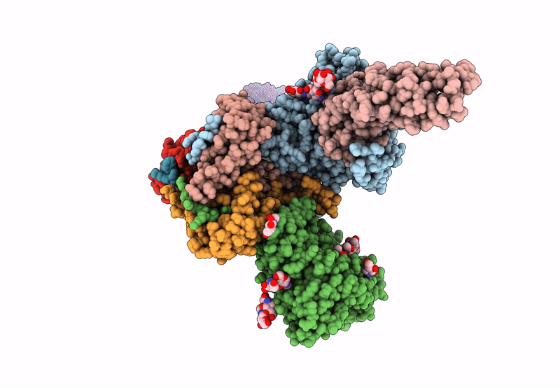 8FYJ image
