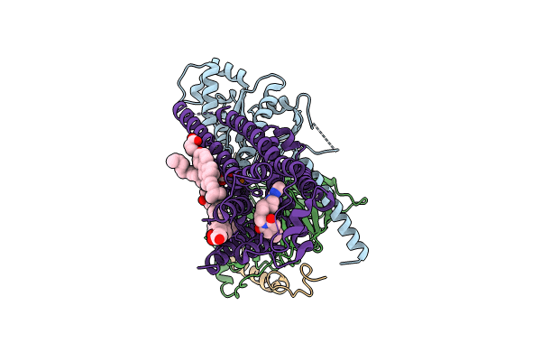 8FYX image
