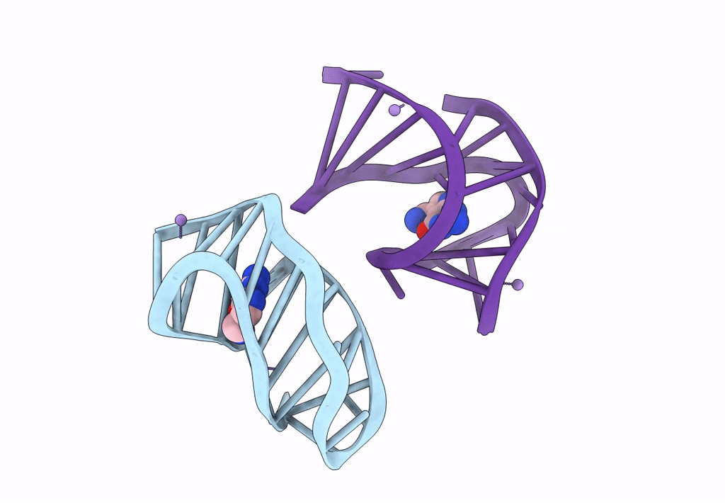 8FZA image
