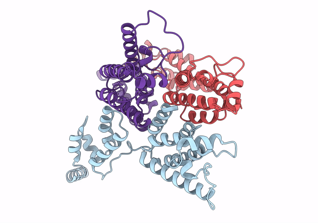 8FZC image