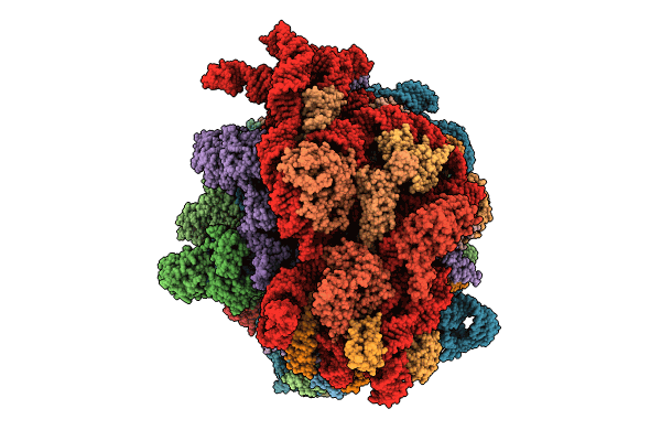 8FZG image