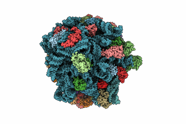 8FZI image