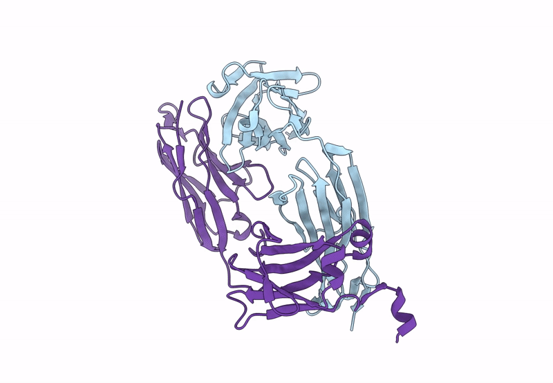 8FZP image