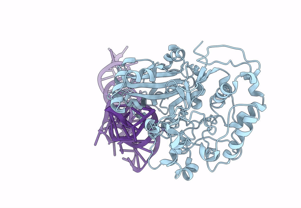 8FZR image
