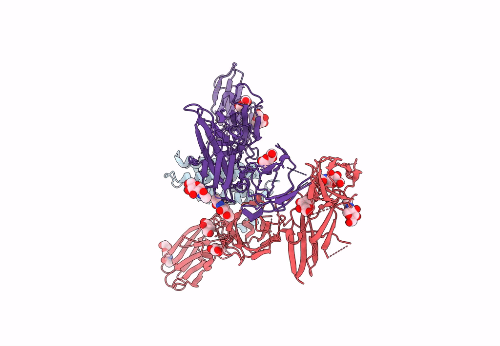 8G04 image